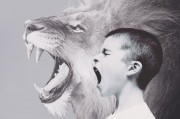 夢(mèng)中的哭泣之貓，一場(chǎng)神秘的夢(mèng)境之旅