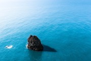 夢中重逢，舊時同事的回憶，夢中重逢，舊時同事的回憶之夢