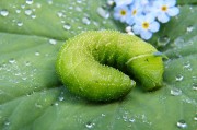 綠色先鋒，守護(hù)碧水藍(lán)天—環(huán)保新聞聚焦，碧水藍(lán)天守護(hù)者，綠色先鋒環(huán)保紀(jì)實