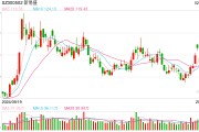 股價(jià)集體閃崩 光模塊三劍客錯(cuò)殺還是重估？