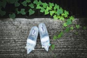 夢中見證友情的盛典——夢到朋友結(jié)婚的感悟，夢中見證友情的盛典，夢到朋友婚禮的感悟