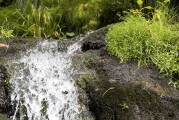 流量與網(wǎng)站訪(fǎng)問(wèn)，一個(gè)動(dòng)態(tài)平衡的藝術(shù)，數(shù)字營(yíng)銷(xiāo)中的動(dòng)態(tài)平衡藝術(shù)，如何實(shí)現(xiàn)流量和訪(fǎng)問(wèn)的動(dòng)態(tài)調(diào)整