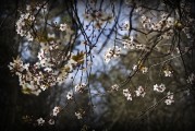 周公解夢(mèng)之夢(mèng)到下大雪的寓意與解讀，周公解夢(mèng)，夢(mèng)到下大雪的寓意與解讀
