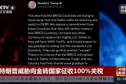 特朗普威脅向金磚國(guó)家征收100%關(guān)稅！專家：加關(guān)稅會(huì)讓很多美國(guó)企業(yè)破產(chǎn)