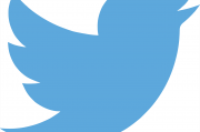 Twitter注冊指南，輕松開啟你的社交之旅，輕松開啟Twitter社交之旅，注冊指南全解析