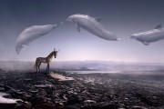 夢(mèng)中邂逅大伯的神秘世界，夢(mèng)中邂逅大伯的神秘世界之旅