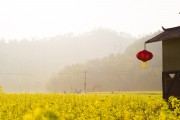 夢中的花?！业脑曰ㄖ茫瑝糁械幕ê?，我的栽花之旅