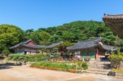 夢(mèng)中的攀爬之旅，夢(mèng)中的攀爬之旅之旅