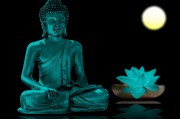 夢魘之影，夢到姐姐去世的內(nèi)心掙扎，夢魘之影，姐姐離世的心靈掙扎
