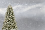 桌面圣誕樹插件網(wǎng)站，點亮冬日溫馨，增添節(jié)日氣氛