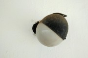 解讀夢(mèng)境中的鱉，象征意義與心理暗示