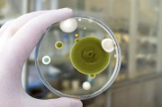 銀行卡的生物識別技術應用前景如何？