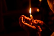 燃燒的生命——螢火蟲（寓言故事），螢火蟲的奧秘