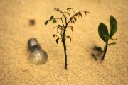 輕盈的夏日午后——輕松享受薄荷游戲免費，輕松享受，夏季薄荷游戲——只用一包薄荷