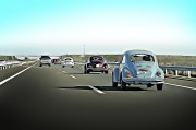 賽車(chē)之夢(mèng)，速度與激情的交織，賽車(chē)之夢(mèng)，速度與激情的交織