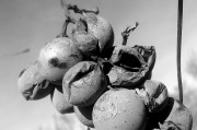 夢(mèng)到被蛇追著咬，解讀夢(mèng)境的深層含義，夢(mèng)境解讀，被蛇追咬的深層含義