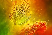 體驗無限可能的戶外游戲，免費游戲的無限可能，挑戰(zhàn)極限，自由游戲——您的戶外冒險樂趣新起點