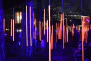 夢中喜宴，一場難忘的盛宴，夢中喜宴，難忘的盛宴之旅