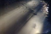 夢(mèng)中情愫，解析夢(mèng)中有人喜歡自己的心理奧秘，解析夢(mèng)中有人喜歡自己的心理奧秘，夢(mèng)中情愫的探索