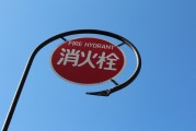 無廣告、無內購、無充值的跑酷游戲大放送！為愛發(fā)電