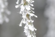 夢(mèng)到魚吃蛇，一場(chǎng)深邃的夢(mèng)境解析