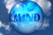 上海網(wǎng)站優(yōu)化服務費用解析，價格因素與性價比考量