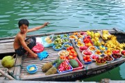 夢中的捉魚之旅，未果的期待，夢中的捉魚之旅，未果的期待之旅