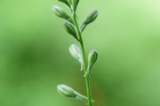 搭建菠菜網(wǎng)站的重要性與步驟，重要性，為何搭建菠菜網(wǎng)站？步驟指南