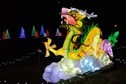 保衛(wèi)蘿卜游戲中，免費并不是一種誘惑，保衛(wèi)蘿卜，游戲中的付費意識與策略分析