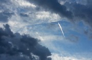 夢(mèng)到狼的寓意與解析，夢(mèng)到狼的寓意與解析