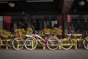 "車庫(kù)禁停新能源車"？廣東省博物館回應(yīng)