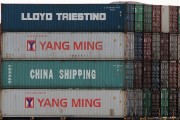 同港注冊全攻略，輕松開啟您的跨境電商之旅，一網(wǎng)打盡，同港注冊全解析，助力跨境電商無憂啟航