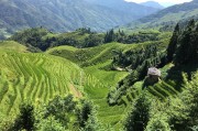 農(nóng)業(yè)新聞，綠色轉(zhuǎn)型下的中國農(nóng)業(yè)新篇章，綠色轉(zhuǎn)型引領(lǐng)下的中國農(nóng)業(yè)新紀(jì)元