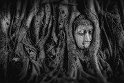 夢(mèng)中遇見(jiàn)的皇后——一場(chǎng)神秘的夢(mèng)境之旅，夢(mèng)中遇見(jiàn)的皇后，神秘夢(mèng)境之旅的邂逅