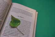 湖南校園注冊攻略，輕松開啟你的大學(xué)生活，湖南校園注冊全攻略，輕松邁入大學(xué)生活新篇章