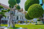 夢中的李子樹，一段心靈的旅程，夢中的李子樹，心靈的旅程之旅