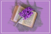 飛書(shū)電腦版注冊(cè)指南，輕松開(kāi)啟高效辦公之旅，飛書(shū)電腦版注冊(cè)攻略，輕松起步，高效辦公無(wú)憂