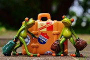 僵尸戰(zhàn)爭，如何輕松注冊，開啟你的戰(zhàn)斗之旅！輕松注冊，加入僵尸戰(zhàn)爭，開啟你的驚心動魄戰(zhàn)斗之旅！
