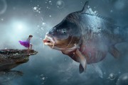 夢中捉魚，一場與魚的奇妙邂逅，夢中捉魚，一場與魚的奇妙邂逅