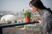 夢中邂逅，女孩的神秘世界，夢中邂逅，女孩的神秘世界