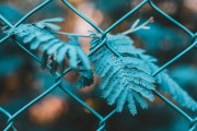 快速網(wǎng)站優(yōu)化，高效快速的網(wǎng)站優(yōu)化策略