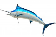 無(wú)限制的海洋冒險(xiǎn)，游戲釣魚免費(fèi)下載體驗(yàn)，無(wú)盡海洋，魚類垂釣樂趣無(wú)窮！輕松下載并享受游戲捕魚的樂趣
