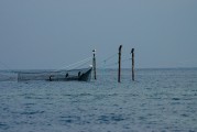 夢中的魚影，一次自我探索的殺魚夢，夢中之魚影，一次自我探索的殺魚夢境