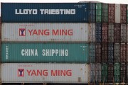 流量費網(wǎng)站的崛起與影響，流量費網(wǎng)站的發(fā)展與趨勢，對消費者和運營商的影響