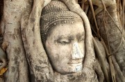 游戲中的情感釋放，憤怒與自由，深度解析，游戲中的情感釋放、憤怒與自由