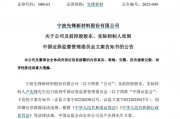 因涉嫌信息披露違法違規(guī)，先鋒新材及總經(jīng)理盧先鋒被立案