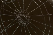 Unity開發(fā)的概述，Unity，創(chuàng)建3D游戲和應(yīng)用程序的強(qiáng)大工具