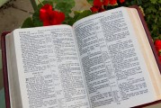 團員證漏注冊怎么辦？全方位解答您的困惑，團員證注冊遺漏解決方案全解析