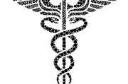 夢(mèng)中的蛇影，解析頻繁夢(mèng)見(jiàn)蛇的神秘現(xiàn)象，解析頻繁夢(mèng)見(jiàn)蛇的神秘現(xiàn)象，夢(mèng)中的蛇影之謎