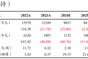 【東吳電新】永興材料2024年業(yè)績(jī)預(yù)告點(diǎn)評(píng)：Q4業(yè)績(jī)符合預(yù)期，成本優(yōu)勢(shì)顯著